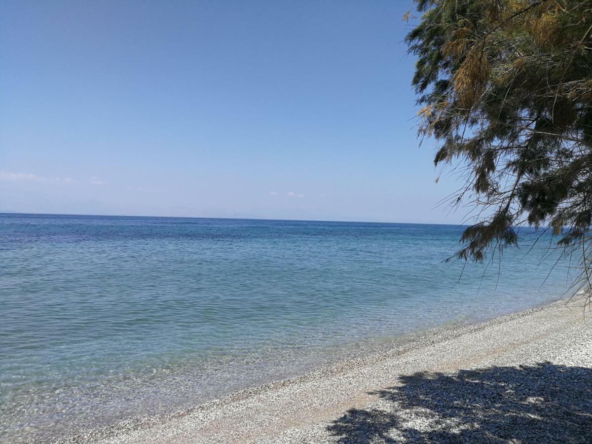 Angel'S Place By The Sea Διακοφτό Εξωτερικό φωτογραφία